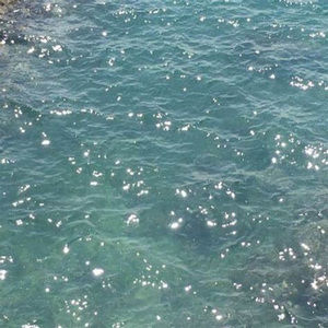 Meet your Posher, Kortlynn